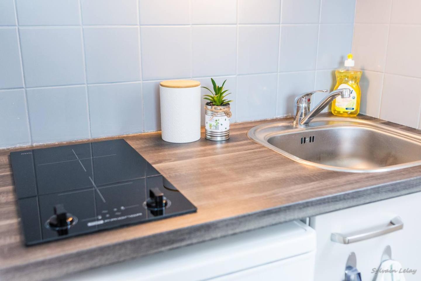 Appartement T2 - Proche Gare - Bord de Vilaine Rennes Extérieur photo